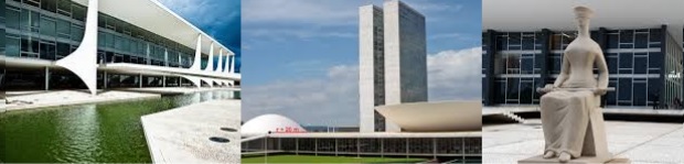 F11 Política